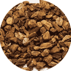 Rhubarb Root Rabarber wortel